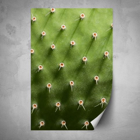 Plakát - Detail kaktusu (80x120 cm) - PopyDesign - Popydesign