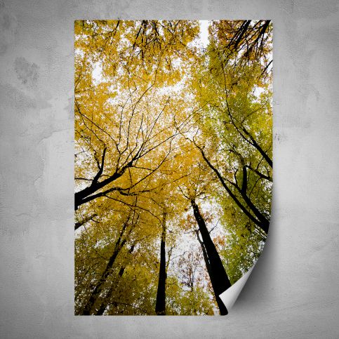 Plakát - Koruny stromů (80x120 cm) - PopyDesign - Popydesign