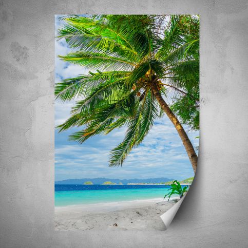 Plakát - Palma na pobřeží (80x120 cm) - PopyDesign - Popydesign