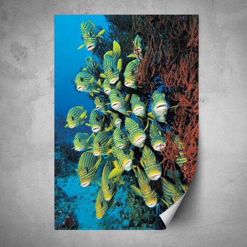 Plakát - Podmořský svět 2 (80x120 cm) - PopyDesign - Popydesign
