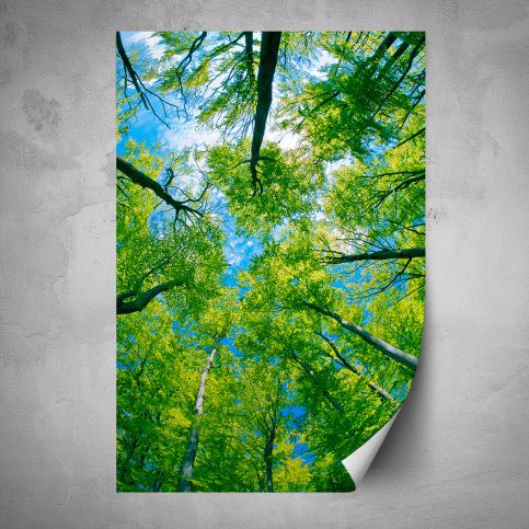 Plakát - Zelené koruny stromů (80x120 cm) - PopyDesign - Popydesign