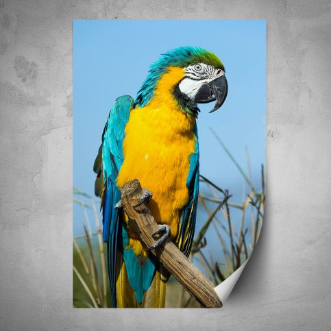 Plakát - Žluto modrý papoušek (80x120 cm) - PopyDesign - Popydesign