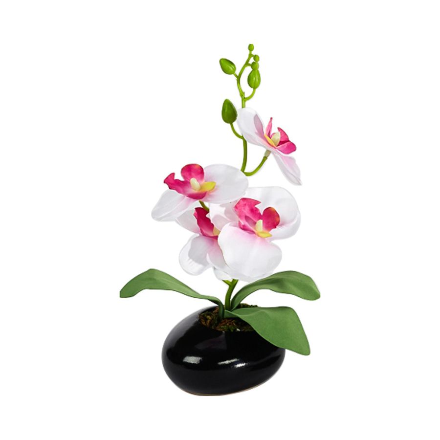 Umělá orchidej bílá - Velký Košík