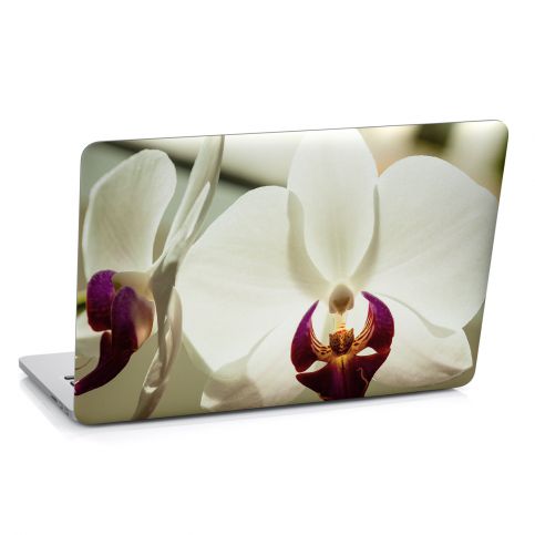 Samolepka na notebook - Bílá orchidej (29x20 cm) - PopyDesign - Popydesign