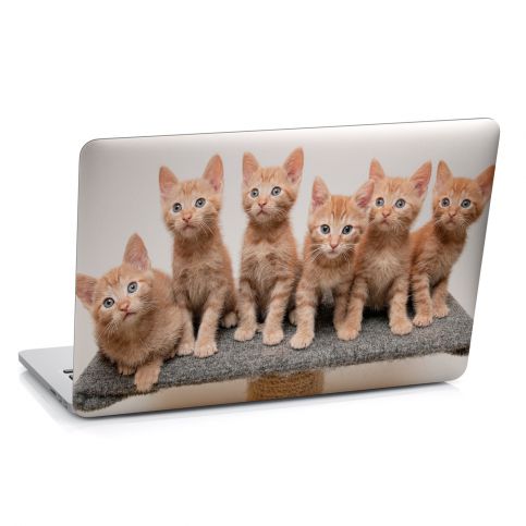Samolepka na notebook - Zrzavá koťata (29x20 cm) - PopyDesign - Popydesign