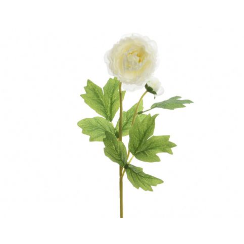 Umělý Ranunculus bílá, 57 cm - 4home.cz