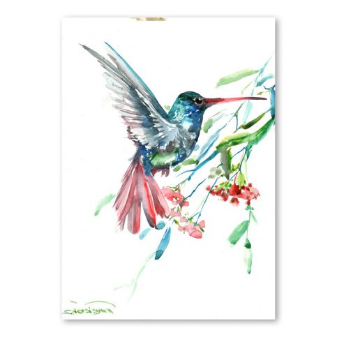 Autorský plakát Americanflat Humming Bird Flowers od Surena Nersisyana, 42 x 30 cm - Bonami.cz