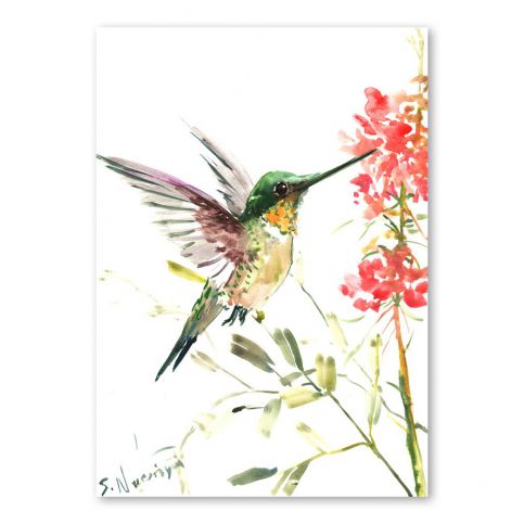Autorský plakát Hummingbird od Surena Nersisyana, 42 x 30 cm - Bonami.cz