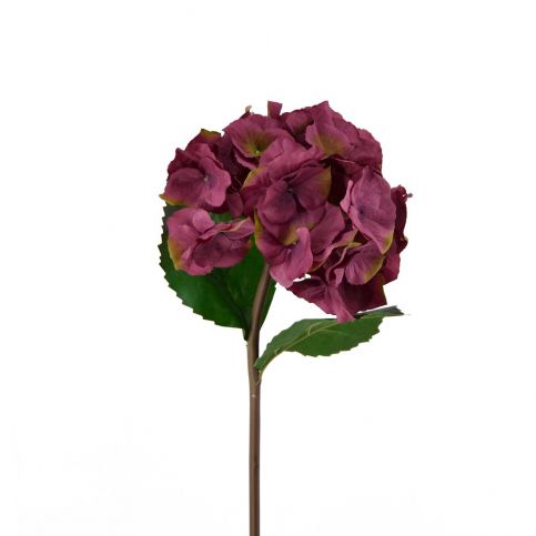 Dekorativní květina Moycor Hydrangea, délka 55 cm - Bonami.cz