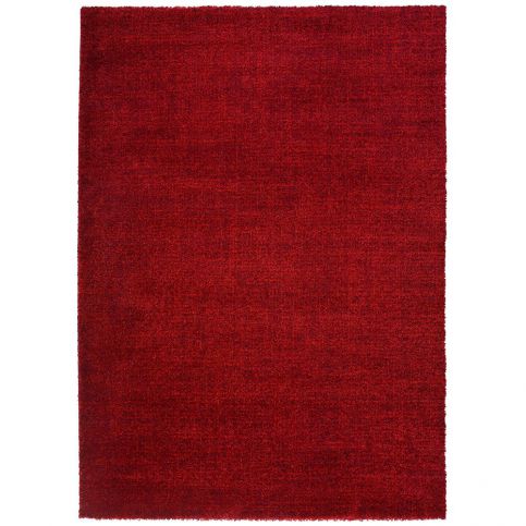 Červený koberec Universal Sweet, 160 x 230 cm - Bonami.cz