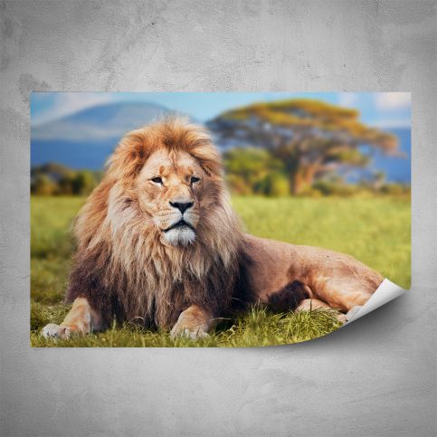 Plakát - Král zvířat (60x40 cm) - PopyDesign - Popydesign