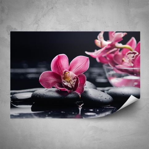 Plakát - Květy orchideje (60x40 cm) - PopyDesign - Popydesign