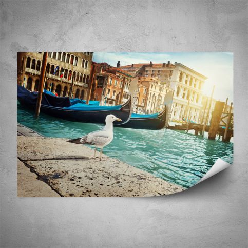 Plakát - Racek v Benátkách (60x40 cm) - PopyDesign - Popydesign