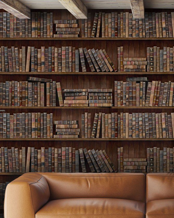 MINDTHEGAP Book Shelves - tapeta na zeď - GLIX DECO s.r.o.