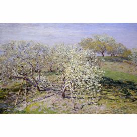 Reprodukce obrazu Claude Monet - Spring, 90 x 60 cm Bonami.cz