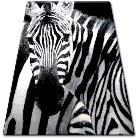  Kusový 3D koberec FLASH Zebra šedý 160x225 - Z-ciziny.cz