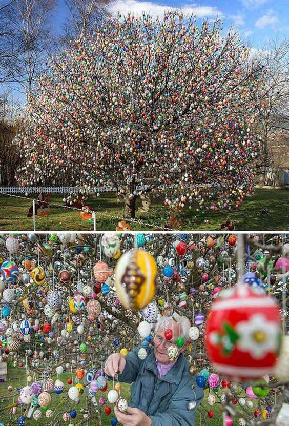Tisíce velikonočních vajíček na stromě - 