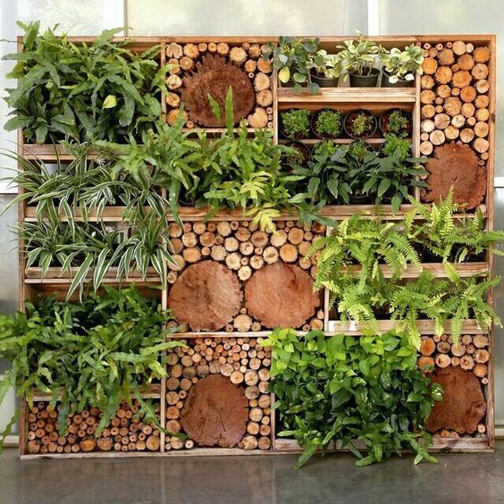 Stěna plná rostlin - 