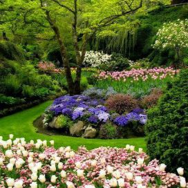 Zahrada v plném květu KatkaD 