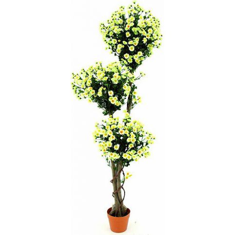 Margariten strom Europalms s květy, výška 160 cm - M DUM.cz