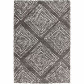 Mint Rugs - Hanse Home koberce Kusový koberec Allure 102763 grau creme - 80x150 cm Bonami.cz