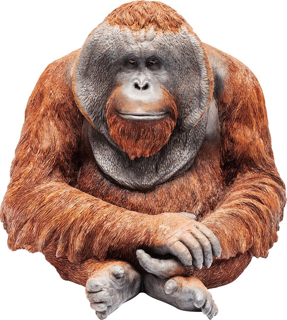 Dekorativní socha opice Kare Design Monkey Orangutan - Bonami.cz