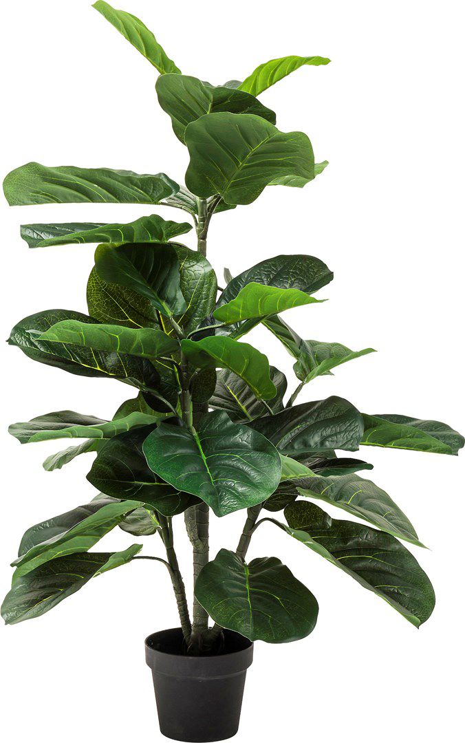 Umělá rostlina Fíkus lyrový 120cm - KARE