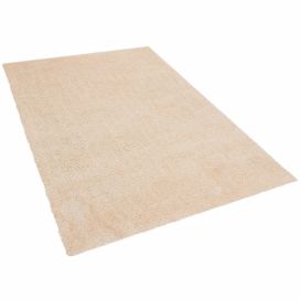 Světlý béžový koberec 200x300 cm DEMRE