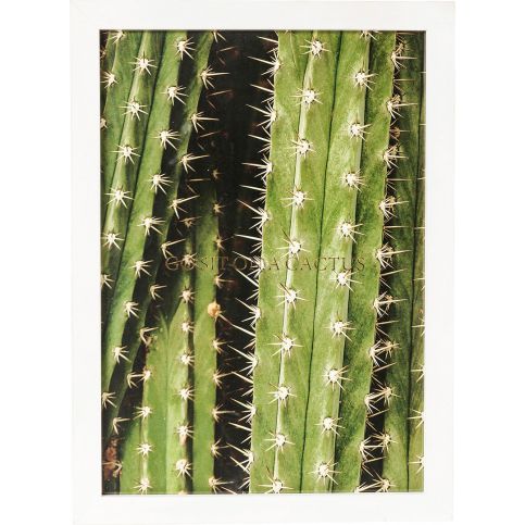 Obraz s rámem Cactus 45×33 cm - KARE