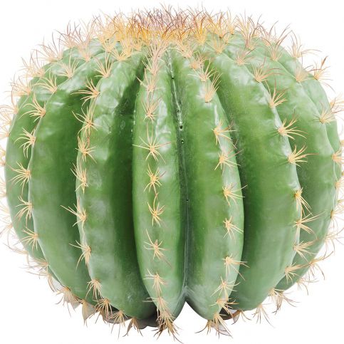 Dekorativní předmět Plant Cactus Ball 44 cm - KARE