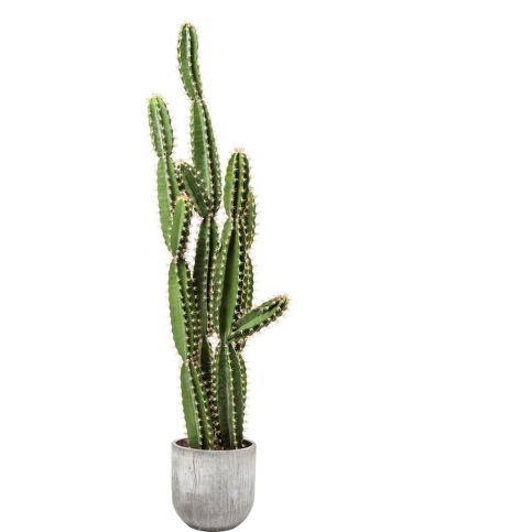 Dekorativní předmět Plant Cactus Pot 202 cm - KARE