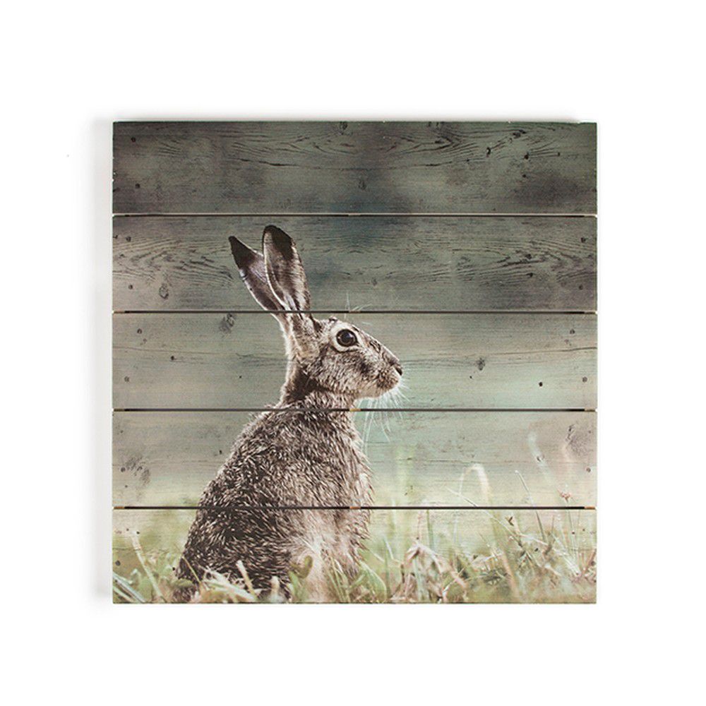 Dřevěný obraz Graham & Brown Hare, 50 x 50 cm - Bonami.cz