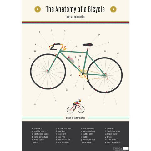 Nástěnný plakát Rex London Anatomy Of a Bicycle - Bonami.cz