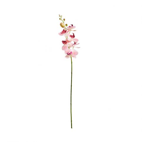 FLORISTA Větvička orchidej 70 cm - růžová - Butlers.cz