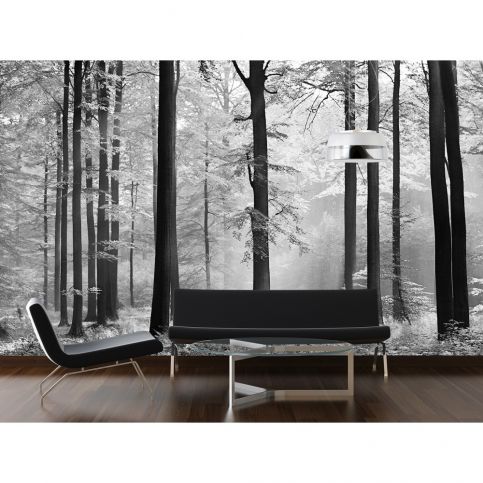 Nástěnná tapeta WALPLUS Winter Forest, 366 x 254 cm - Bonami.cz