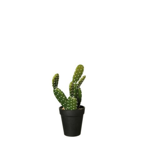 Kaktus indický fík 26 cm ASA Selection - Homein.cz