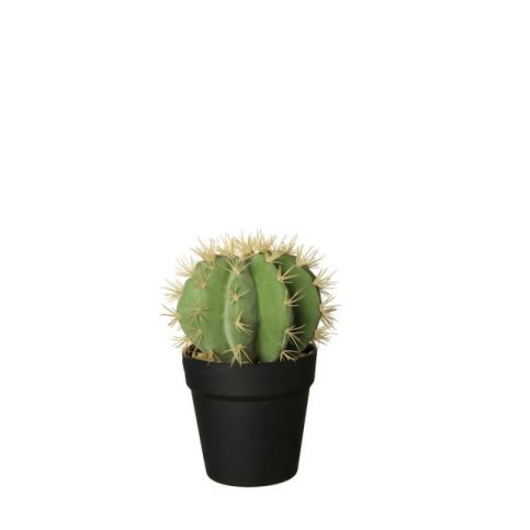 Kaktus se zlatými trny 25,5 cm ASA Selection - Homein.cz