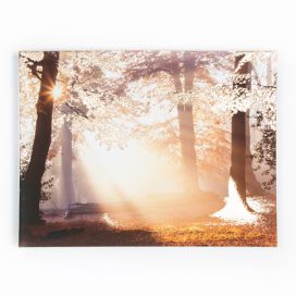 Obraz Graham & Brown Metallic Forest, 80 x 60 cm