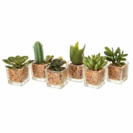 Umělé rostliny v sadě 6 ks (výška 8 cm) Cactus – Casa Selección Bonami.cz