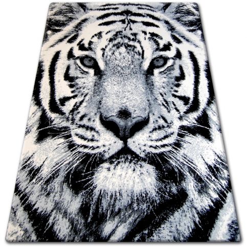  Kusový 3D koberec Flash White Tiger šedý 160x225 - Z-ciziny.cz