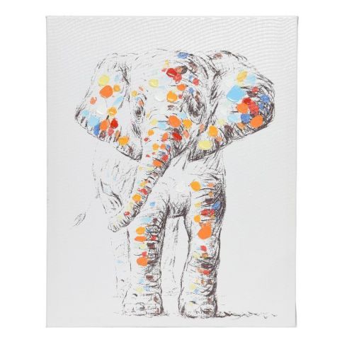 Obraz Colours Elephant , 40 x 50 cm - 4home.cz