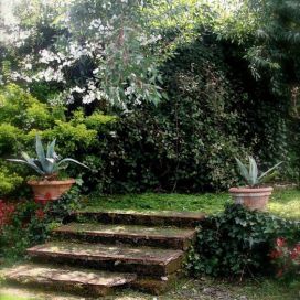 Schody na zahradě Jana Grisanti