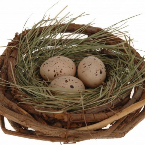 Hnízdo se 3 vejci 13cm - Home-point.cz