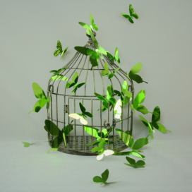 Sada 12 adhezivních 3D samolepek Ambiance Butterflies Green