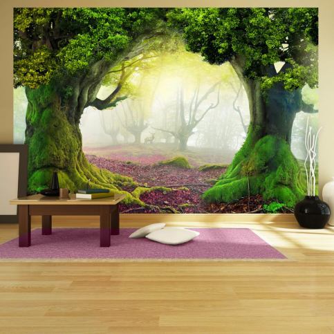 Velkoformátová tapeta Artgeist Enchanted Forest, 400 x 280 cm - Bonami.cz