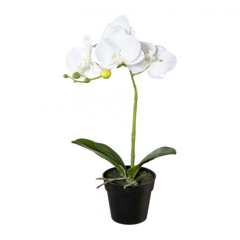 Umělá Orchidej v květináči bílá, 37 cm  - 4home.cz