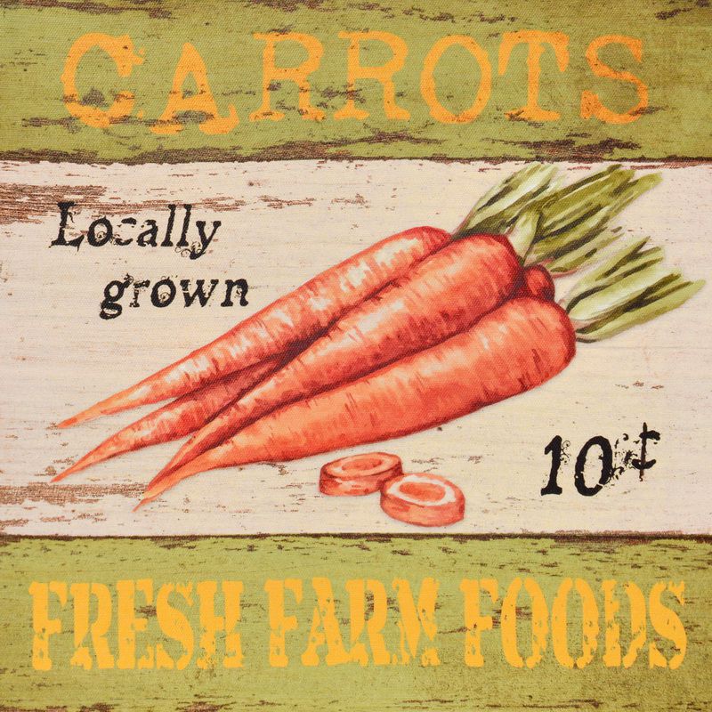 Falc Obraz na plátně - Farm carrots, 28x28 cm - GLIX DECO s.r.o.