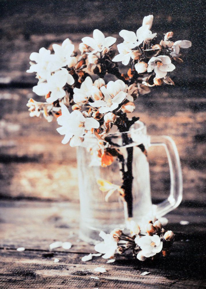 Falc Obraz na plátně - Květy ve sklenici, 50x70 cm - GLIX DECO s.r.o.