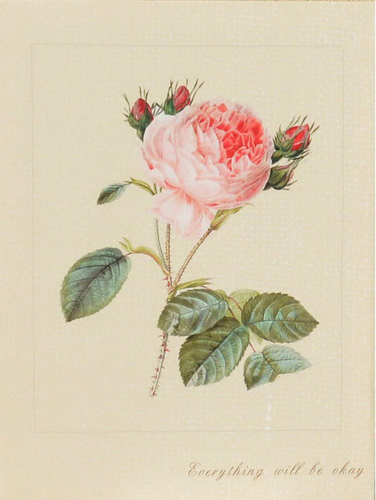 Falc Obraz na plátně - Šípková růže, 30x40 cm - GLIX DECO s.r.o.
