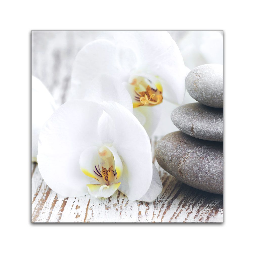 Styler Obraz na plátně - White orchid 30x30 cm - GLIX DECO s.r.o.